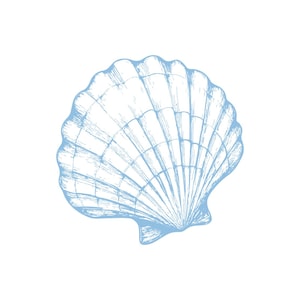 May include: A light blue seashell illustration on a white background. The seashell is drawn with delicate lines, showcasing its ribbed texture and fan-like shape. The image is simple and elegant, perfect for coastal or nautical themes.