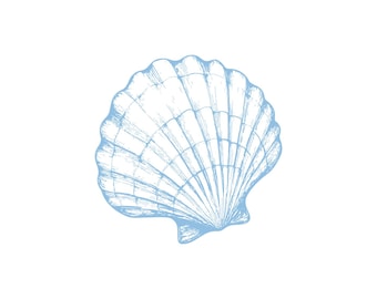 Muszla przegrzebka, ilustracja wektorowa: Clipart nadmorski (PNG, EPS, AI do pobrania w wersji cyfrowej)