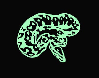Ball Python Snake Vector Graphic: Apparel Design Prints (Digital Download)