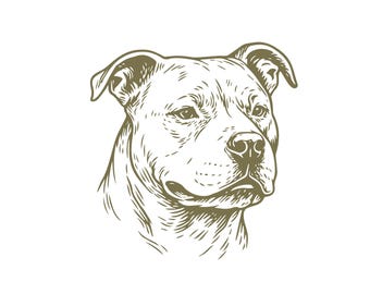 Pitbull Face Vector Drawing: Dog Clipart for T-Shirts (Digital Download)