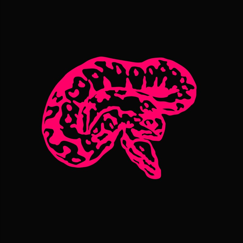 May include: A pink snake curled up in a circle, with a black background.