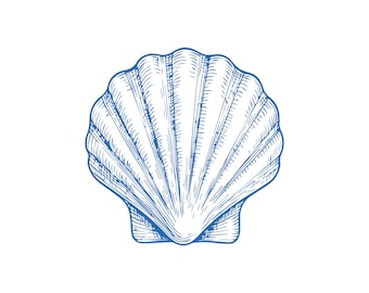 Seashell Vector Illustration: Coastal Clipart (PNG, EPS, AI Digital Download)