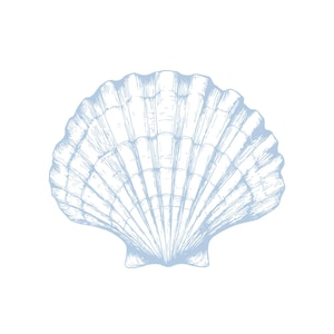 Puede incluir: Ilustración de una concha marina azul claro sobre fondo blanco. La concha está dibujada con líneas delicadas, mostrando su textura acanalada y forma de abanico. La imagen es simple y elegante, ideal para temas costeros o náuticos.