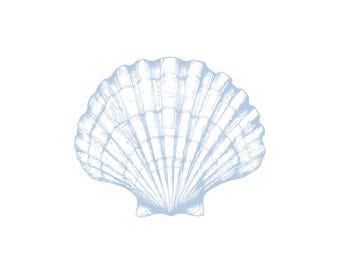 Scallop shell Vector Illustration: Coastal Clipart (PNG, EPS, AI Digital Download)