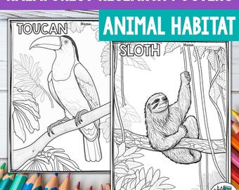 Rainforest Animals Research Posters, Coloring Pages - Animal Research Project