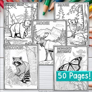 Woodland Animals Research Posters, Coloring Pages - Animal Research ...