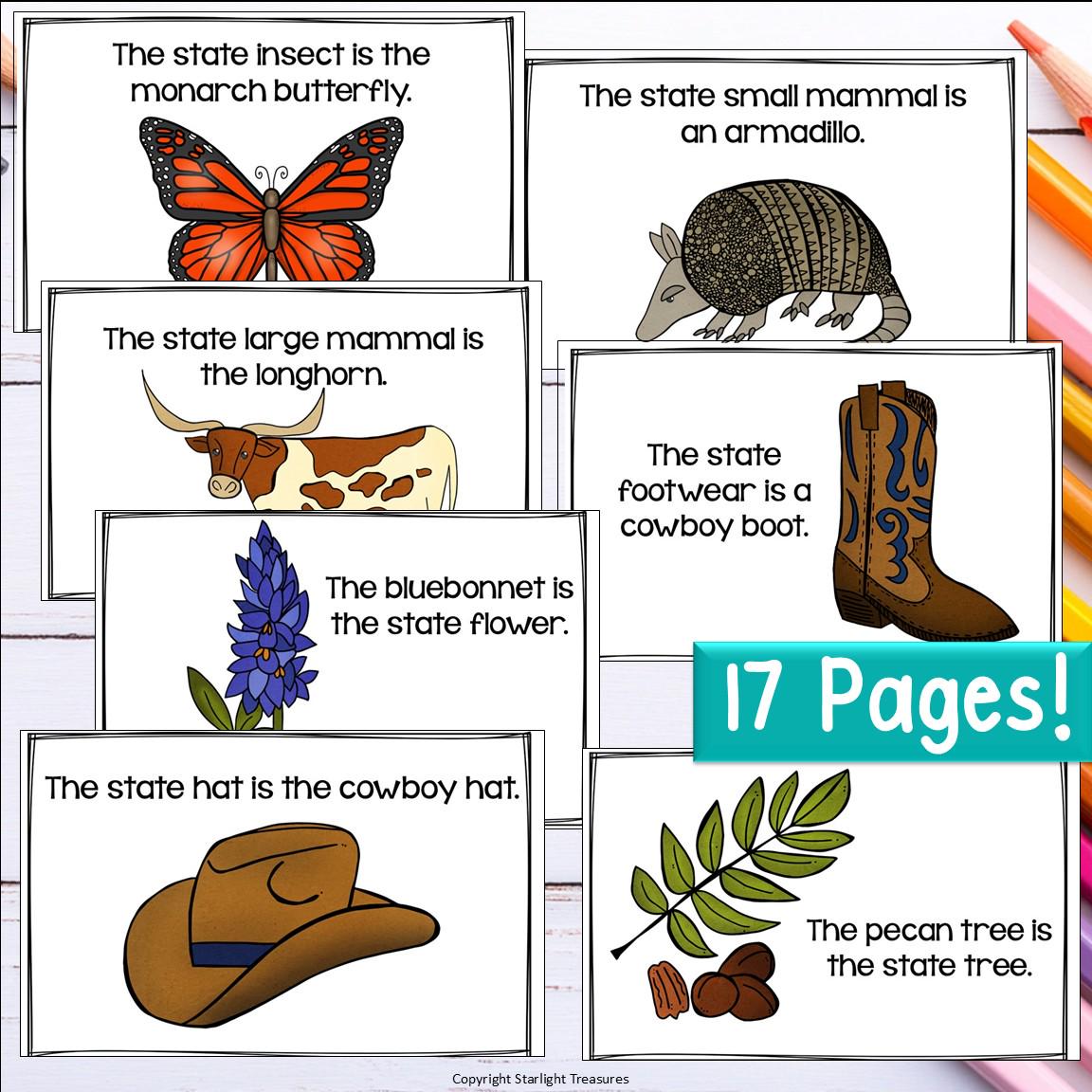 Texas Mini Book for Early Readers - A State Study - Etsy
