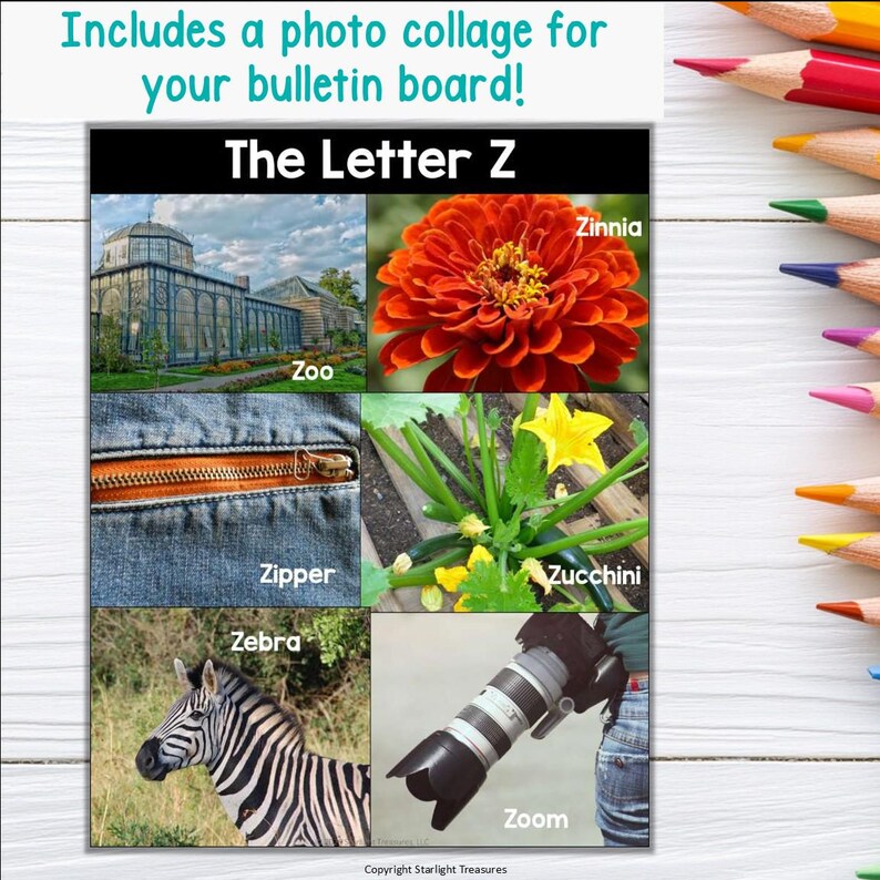 Letter Z Mini Book Alphabet Learning Activity (digital Download) - Etsy