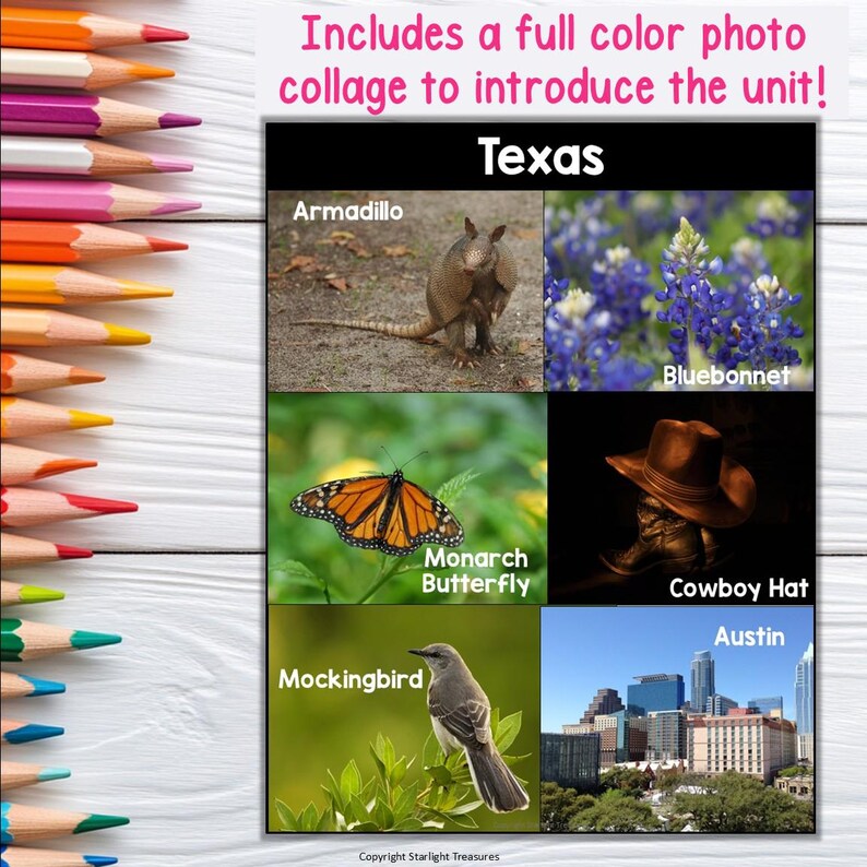 Texas Mini Book for Early Readers - A State Study - Etsy