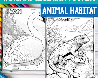 Wetland Animals Research Posters, Coloring Pages - Animal Research Project