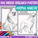 Dog Breeds Research Posters, Coloring Pages - Animal Research Project ...