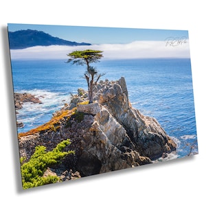 Lone Cypress Tree Print: Pebble Beach Coastal Wall Art