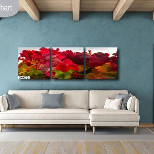 Close-up photo of vibrant red grapevine leaves in autumn, capturing the rich colors and textures of the harvest season. The bright, detailed foliage makes a striking and warm addition to any home decor, perfect for celebrating the beauty of fall.