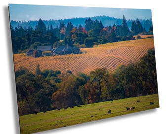 Sonoma Vineyard Photograph: Fall Wine Country Landscape Art