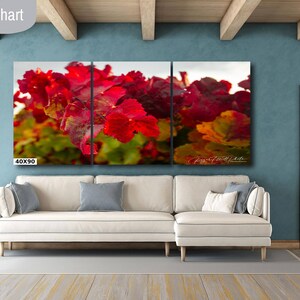 Close-up photo of vibrant red grapevine leaves in autumn, capturing the rich colors and textures of the harvest season. The bright, detailed foliage makes a striking and warm addition to any home decor, perfect for celebrating the beauty of fall.