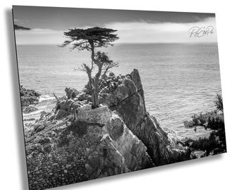 Lone Cypress Photograph | Pebble Beach California Coastal