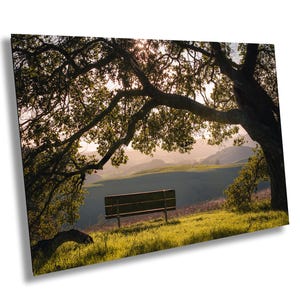 Parkbank print, zonsondergang eik fotografie, vreedzame natuur muurkunst, meditatie ruimte decor, nostalgisch landschap, gouden uur kunst