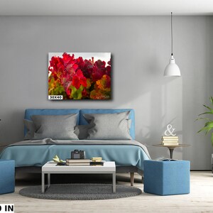 Close-up photo of vibrant red grapevine leaves in autumn, capturing the rich colors and textures of the harvest season. The bright, detailed foliage makes a striking and warm addition to any home decor, perfect for celebrating the beauty of fall.