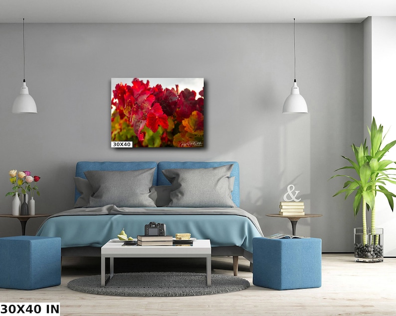 Close-up photo of vibrant red grapevine leaves in autumn, capturing the rich colors and textures of the harvest season. The bright, detailed foliage makes a striking and warm addition to any home decor, perfect for celebrating the beauty of fall.