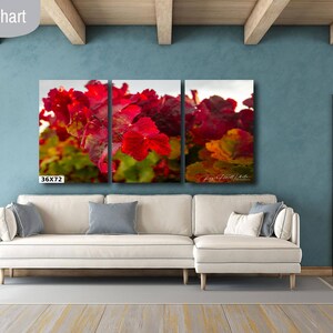 Close-up photo of vibrant red grapevine leaves in autumn, capturing the rich colors and textures of the harvest season. The bright, detailed foliage makes a striking and warm addition to any home decor, perfect for celebrating the beauty of fall.