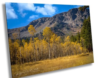 Lake Tahoe Autumn Aspen Print | Sierra Nevada