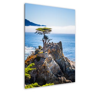 Lone Cypress Tree Print: 17 Mile Drive, Monterey Coast Fine Art