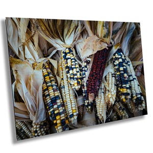 Vintage Glass Indian Corn Print, Farmhouse Wall Art, Autumn Harvest Photo, Fall Thanksgiving Decor, Rustic Kitchen Print, Nature Photograph