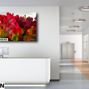 Close-up photo of vibrant red grapevine leaves in autumn, capturing the rich colors and textures of the harvest season. The bright, detailed foliage makes a striking and warm addition to any home decor, perfect for celebrating the beauty of fall.