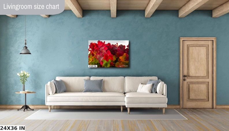 Close-up photo of vibrant red grapevine leaves in autumn, capturing the rich colors and textures of the harvest season. The bright, detailed foliage makes a striking and warm addition to any home decor, perfect for celebrating the beauty of fall.