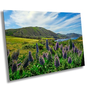 Big Sur Lupine Wildflower Print: California Coastal Landscape Art