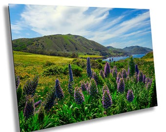 Big Sur Lupine Wildflower Print: Kaliforniens kustlandskapskonst