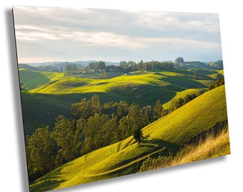 Petaluma Wall Art, Helen Putnam Park Sunset Print | Sonoma County Landscape Photography