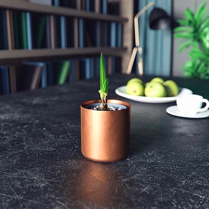 Puede incluir: Una pequeña planta verde en una maceta cilíndrica de color cobre sobre una mesa oscura y texturizada. A la derecha, una taza y un platillo blancos, con un plato de manzanas verdes al fondo. Se ve una estantería.