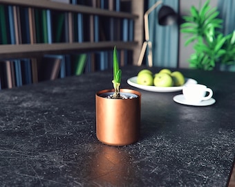 Maceta Maison Zoe de cobre - 100% hecha a mano - elegante y robusta - macetero redondo dorado