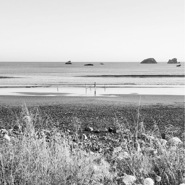Pebble Beach, photography, black and white, printable, crescent city california, family, sunset, waves, ocean, rocky, artwork, wildflowers