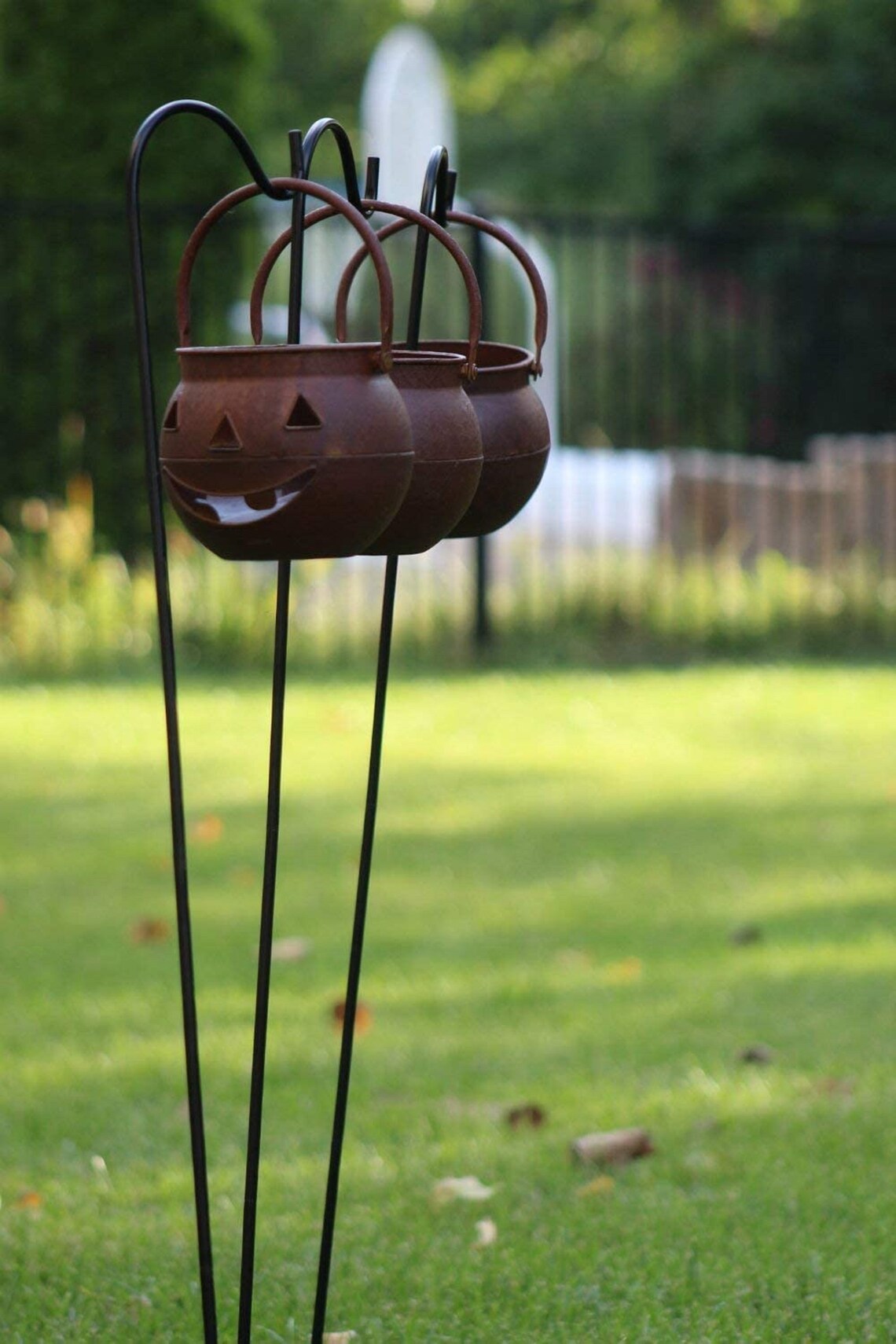 ashman shepherd hooks