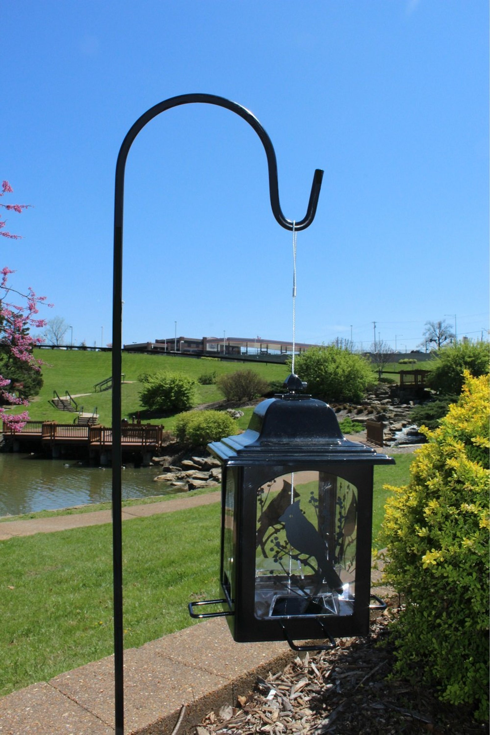 ashman shepherd hooks