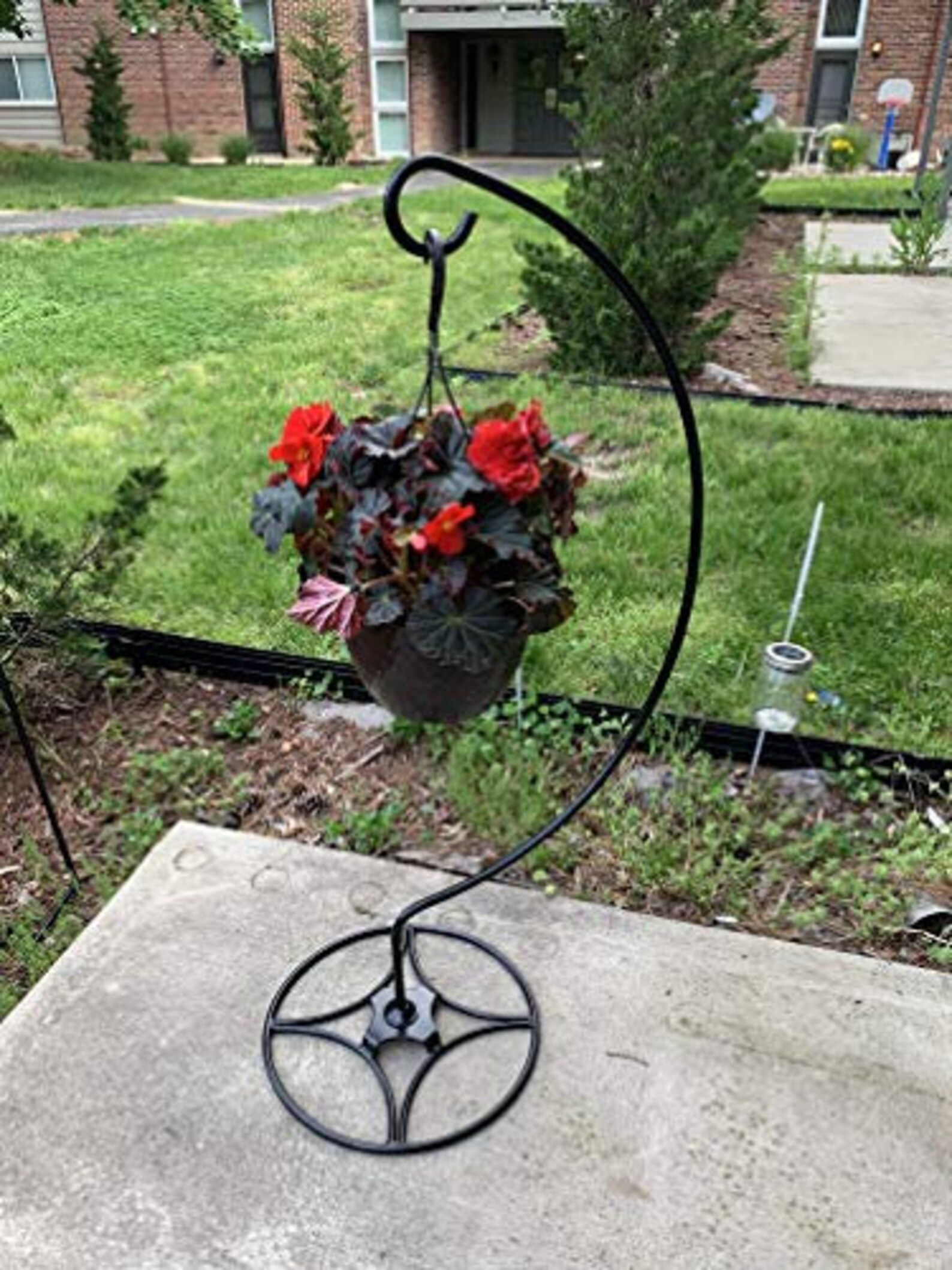 Ashman Shepherd Hook Stand Bird Cage Stand Outdoor and Etsy