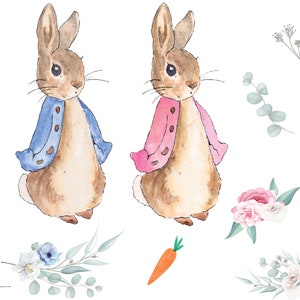 Peter Rabbit Flopsy Hase Clipart - Illustration - Aquarell Elemente - PNG Datei