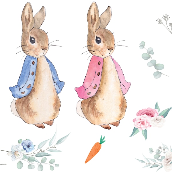 Peter Rabbit Flopsy bunny clipart - Illustration - Watercolor Elements - PNG file