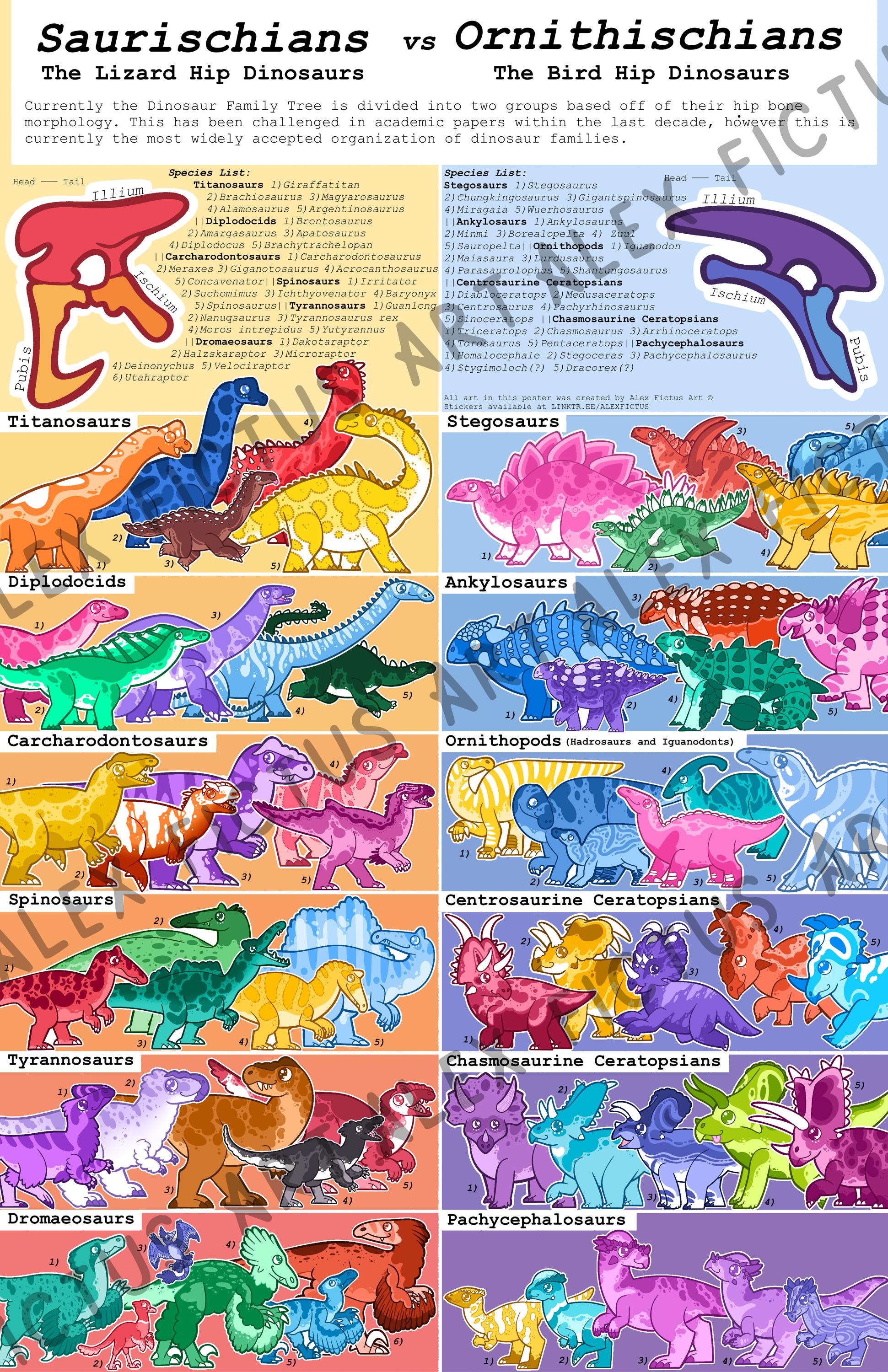 PRE ORDER Major Dinosaur Families Poster 22