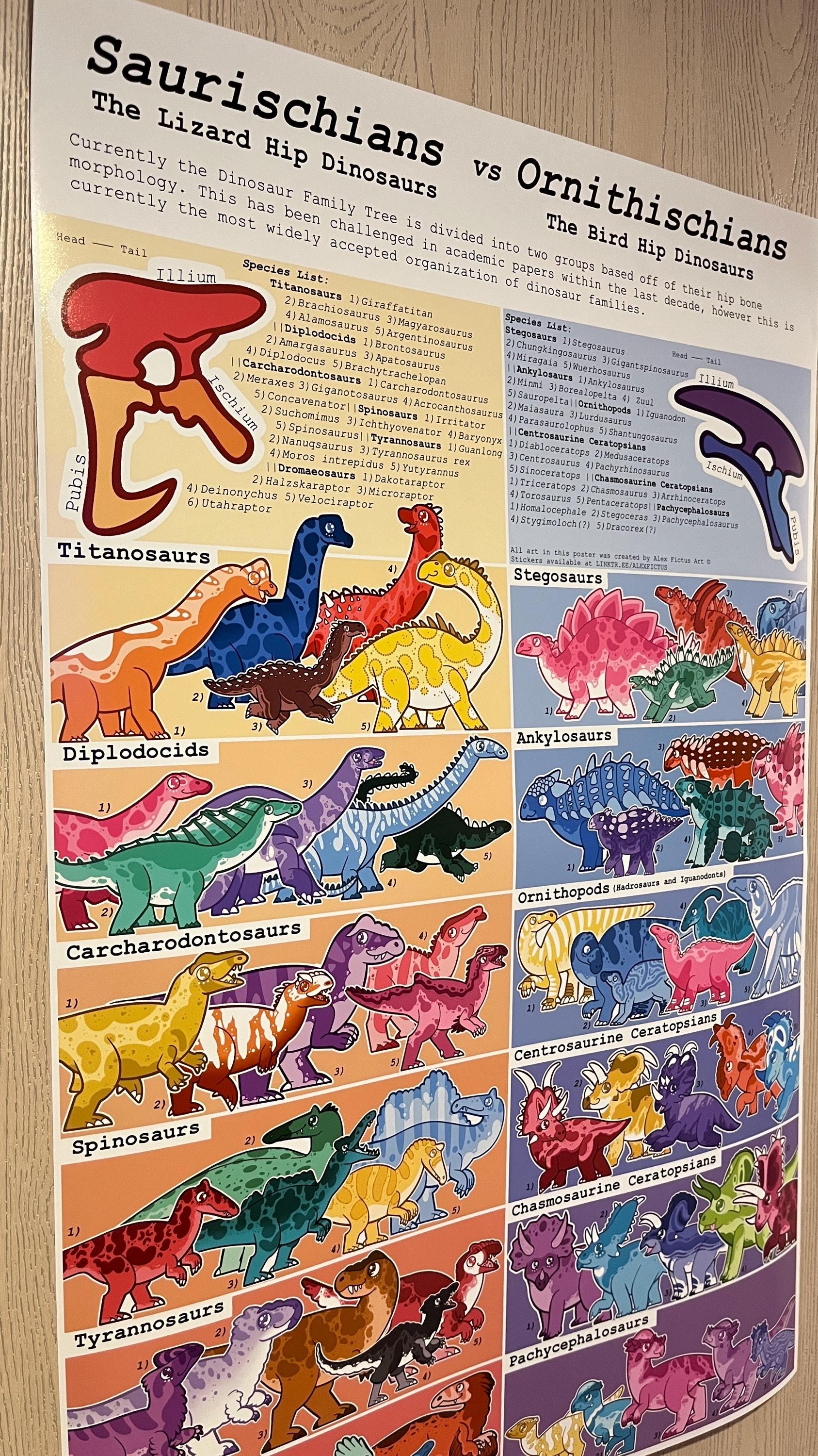 PRE ORDER Major Dinosaur Families Poster 22