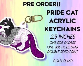 PRE ORDER Pride Cat Keychains LGBT and Disability Designs - Gay Lesbian Nonbinary Asexual AroAce Pansexual Transgender Genderfluid Designs