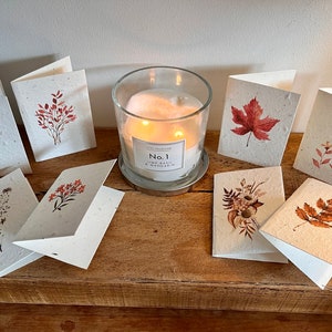 12 cute, mini lavender seeded cards with individual autumnal botanicals on each card image 7