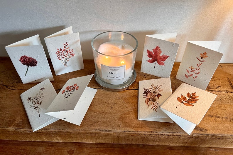 12 cute, mini lavender seeded cards with individual autumnal botanicals on each card image 7