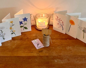8 seeded paper cards and envelopes with different British wildflowers on each card