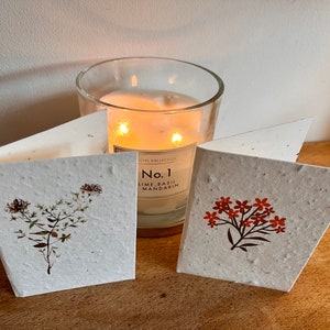 12 cute, mini lavender seeded cards with individual autumnal botanicals on each card image 5