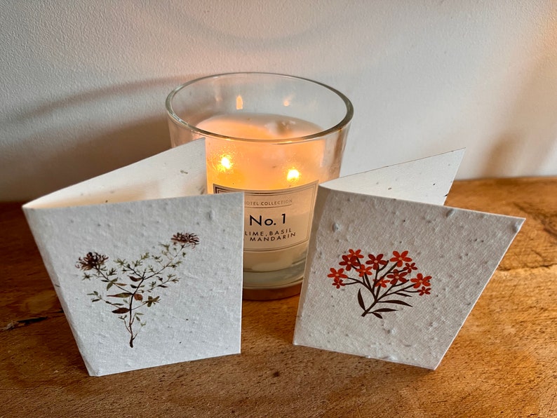 12 cute, mini lavender seeded cards with individual autumnal botanicals on each card image 5