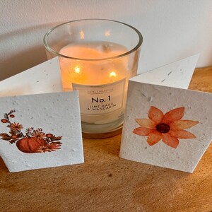 12 cute, mini lavender seeded cards with individual autumnal botanicals on each card image 3