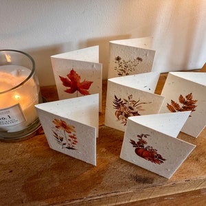 12 cute, mini lavender seeded cards with individual autumnal botanicals on each card image 10